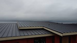 Best Commercial Roofing Services  in Woodland Park, NE